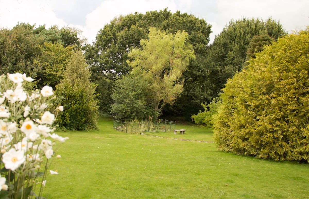 Large enclosed established garden at Apple Cottage, a dog-friendly holiday cottage in Dorset